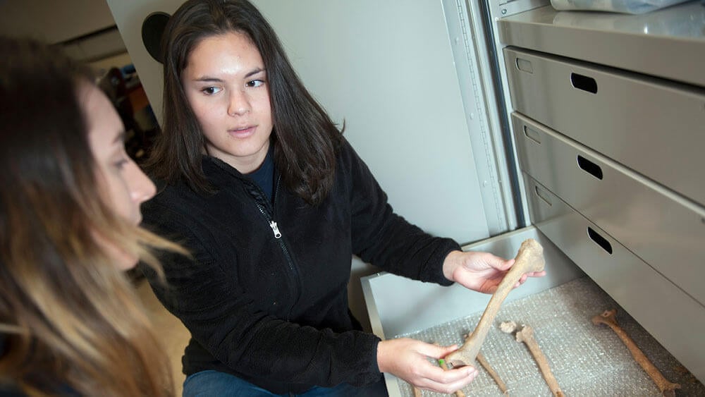 2 students examine human bones as part of a research trip