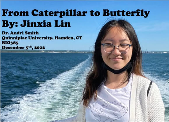 Photo of Jin with text saying "From caterpillar to butterfly"