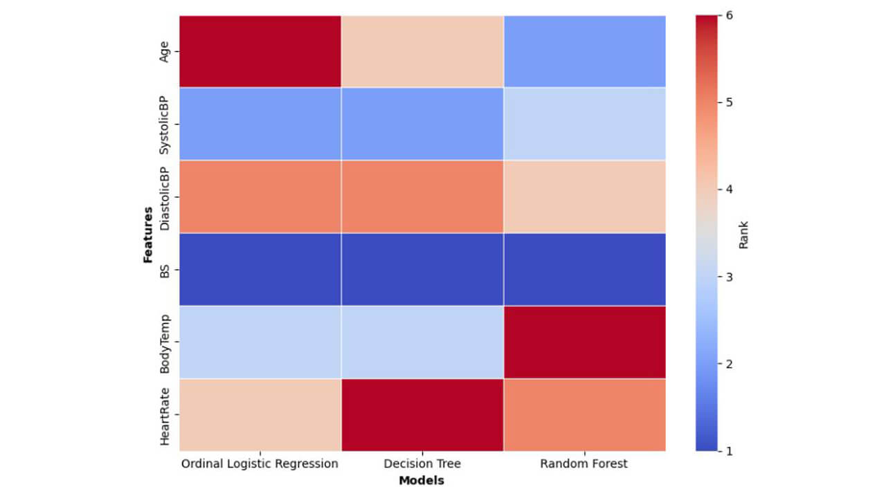 Graph depicting the heatmap of feature importance rankings, with dark blue equating to lower rank values and dark red equating to higher rank values