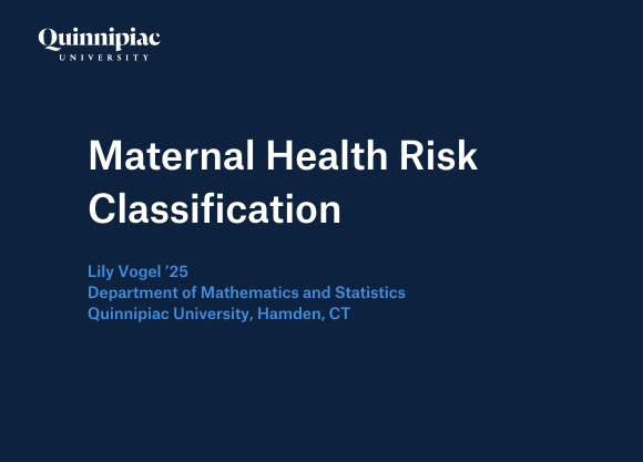 Graphic that says, "Maternal Health Risk Classification"