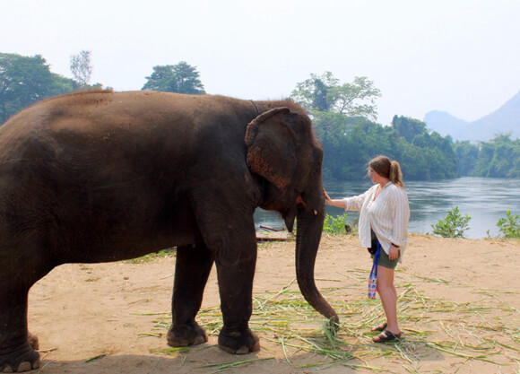 A woman petting an elephant's trunk