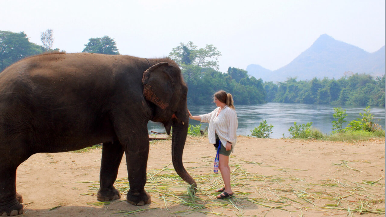 A woman petting an elephant's trunk